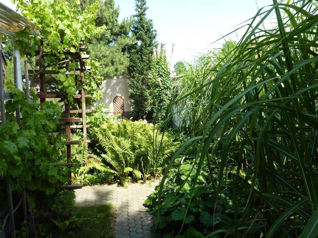 Pension Muench "Am Anger" Neuseusslitz Esterno foto